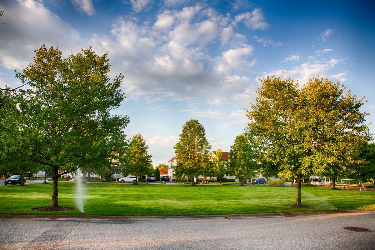 Should I Hire an HOA Management Company?