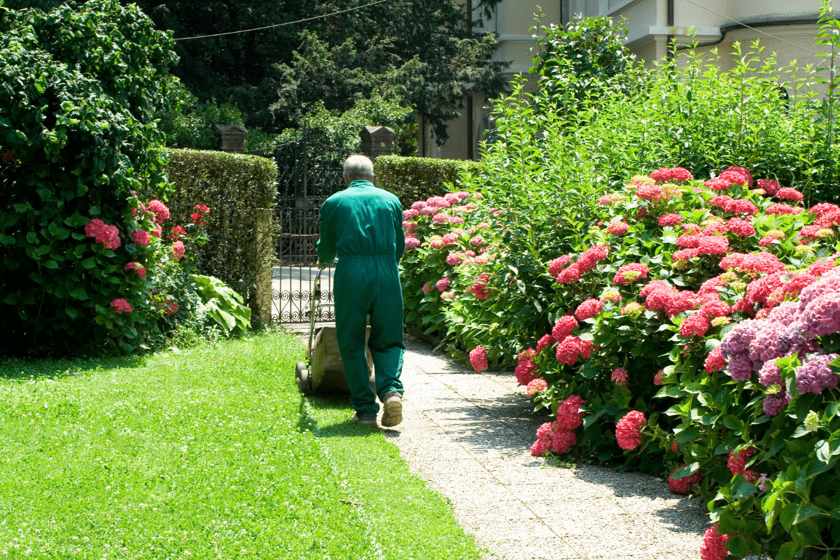 HOA Community Landscaping