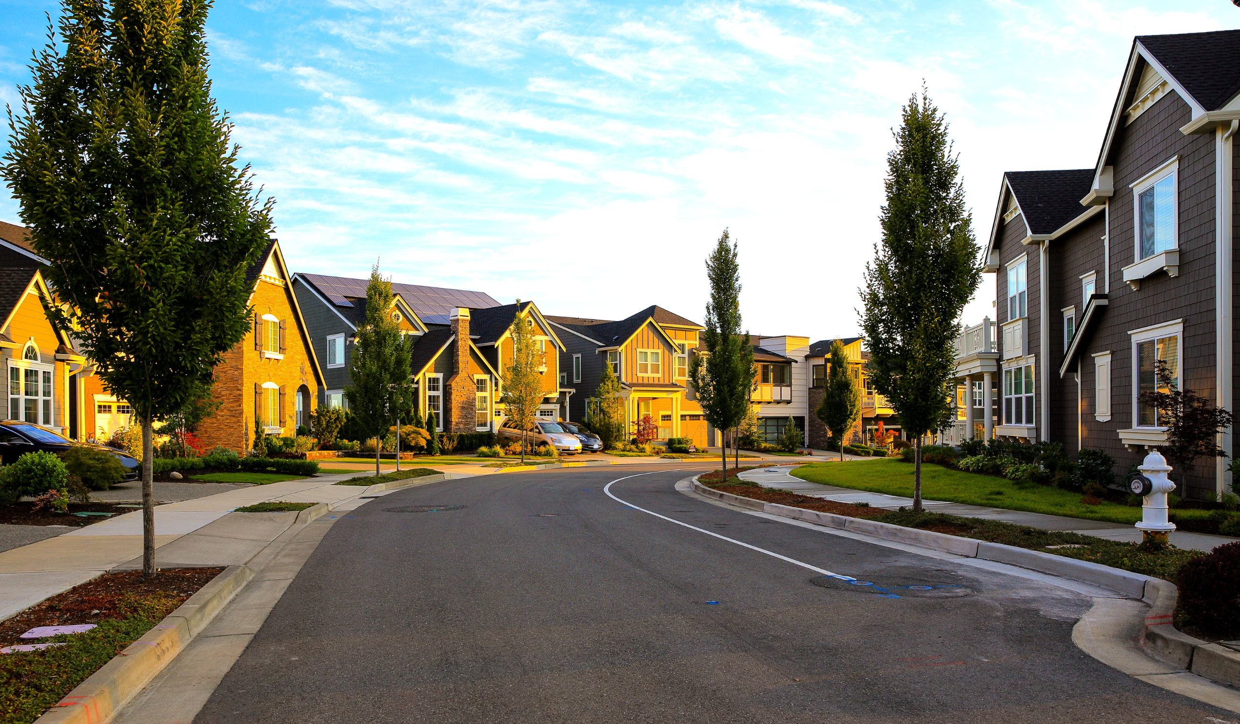 Special Assessment Tax